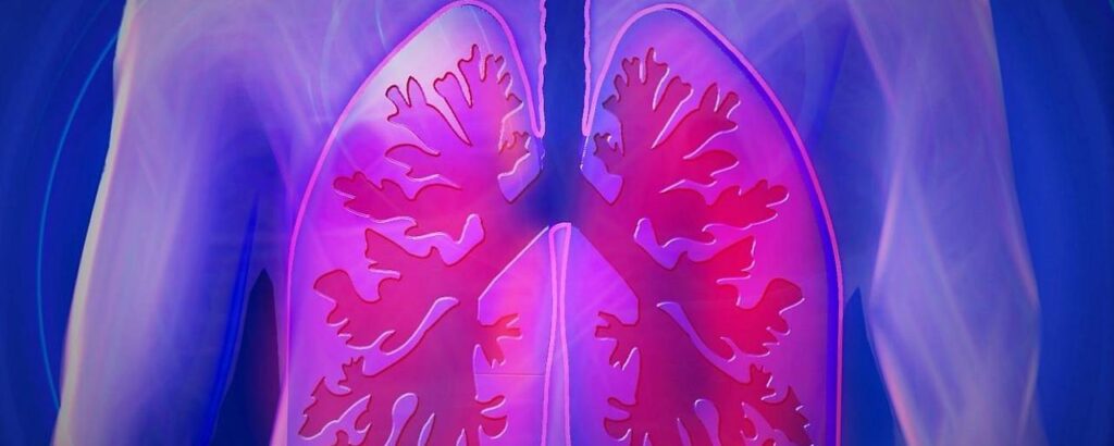 Lunge Organ Körper Asthma